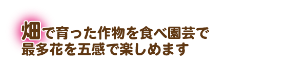 畑で育った作物を食べ園芸で最多花を五感で楽しめます